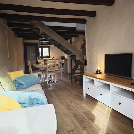 L'Era Del Ter Apartment Sant Pau de Seguries Exterior photo
