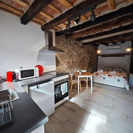 L'Era Del Ter Apartment Sant Pau de Seguries Exterior photo